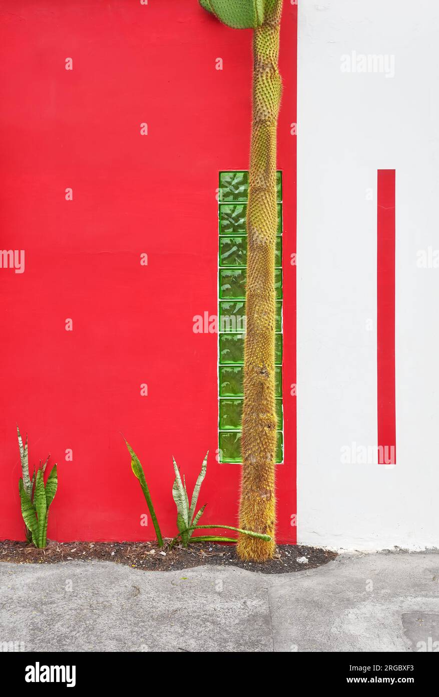Vista della strada della facciata rossa e bianca dell'edificio con cactus, sfondo architettonico, Ecuador. Foto Stock