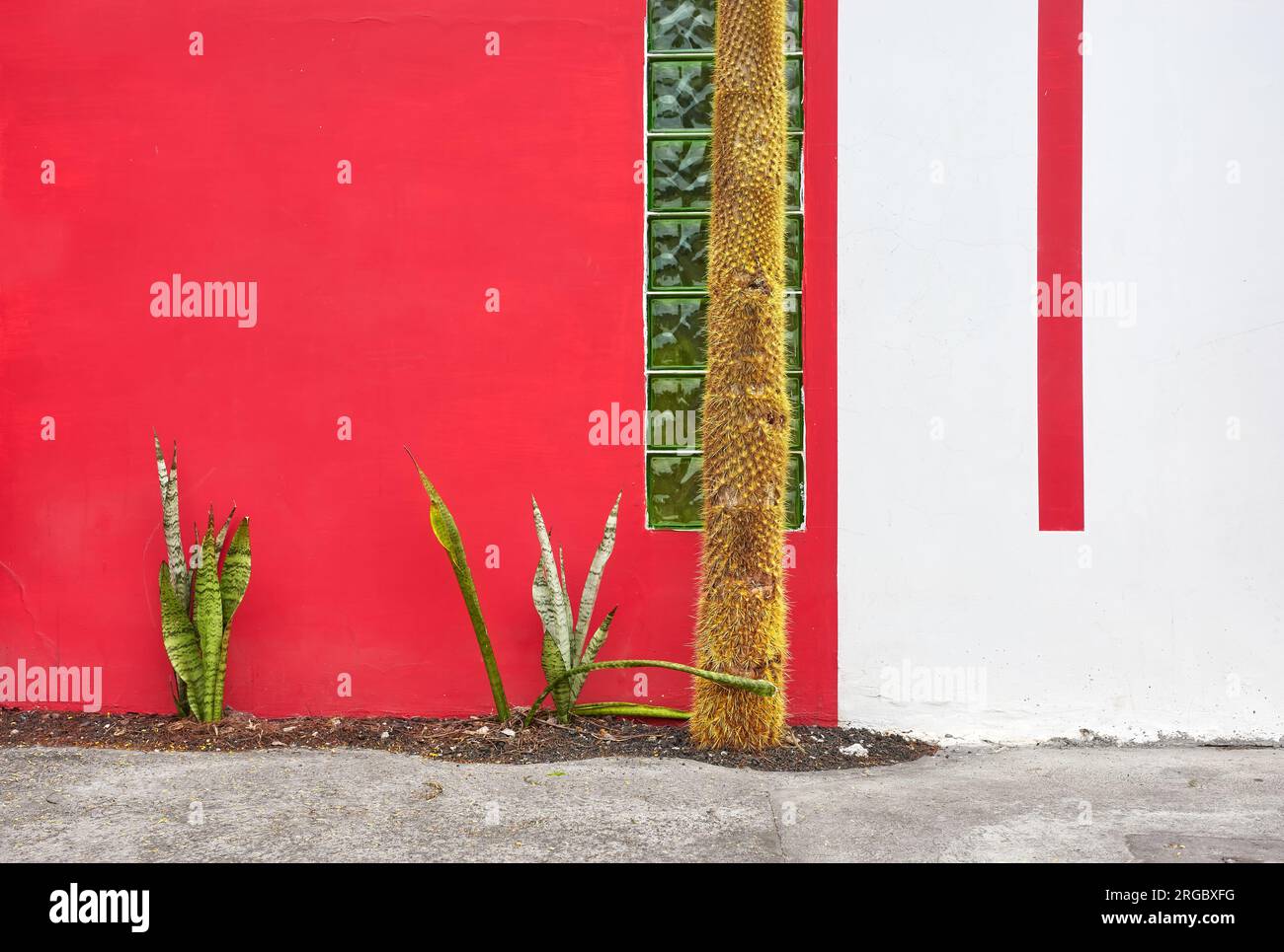 Vista della strada della facciata rossa e bianca dell'edificio con cactus, sfondo architettonico, Ecuador. Foto Stock