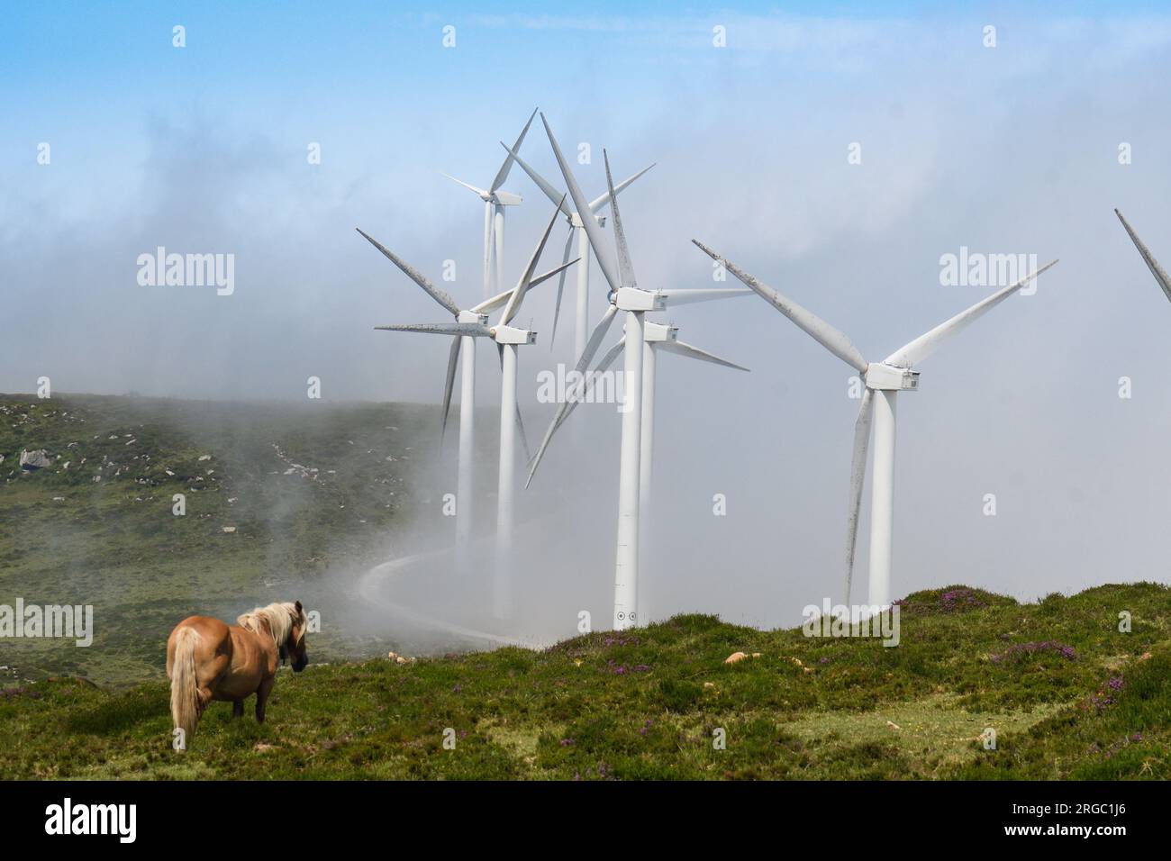 Turbine eoliche nel parco eolico di la Peñuca tra la nebbia Foto Stock