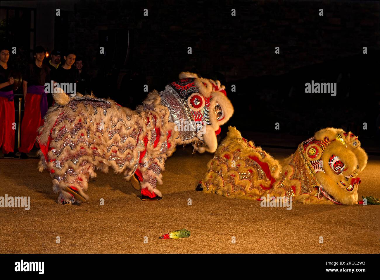 Ballerini cinesi, grandi costumi animali; intricato, scintillante, etnico, spettacolo; movimento, notte; intrattenimento, Pennsylvania Foto Stock