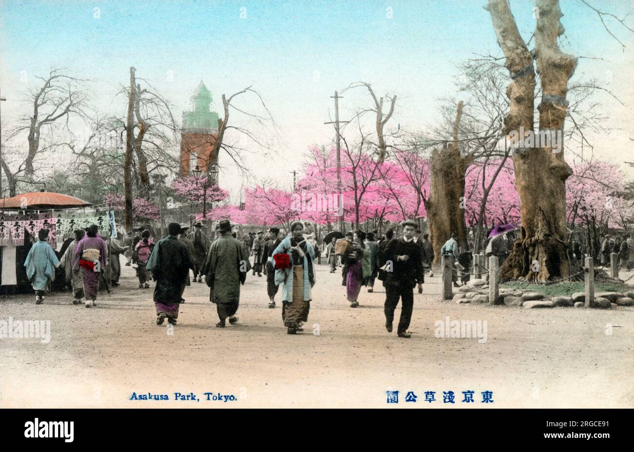 Fiori di ciliegio all'Asakusa Park, Tokyo, Giappone. Ryounkaku (Torre dei dodici piani) può essere visto sullo sfondo (distrutto nel grande terremoto del Kanto del 1923). Foto Stock