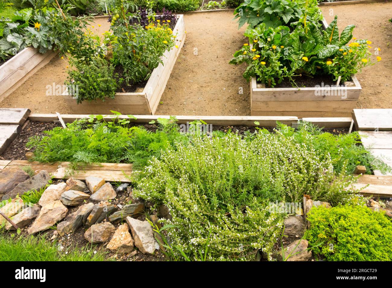 Giardino rialzato in legno, letti, prodotti, verdure, erbe, piante per cucina e cucina Foto Stock