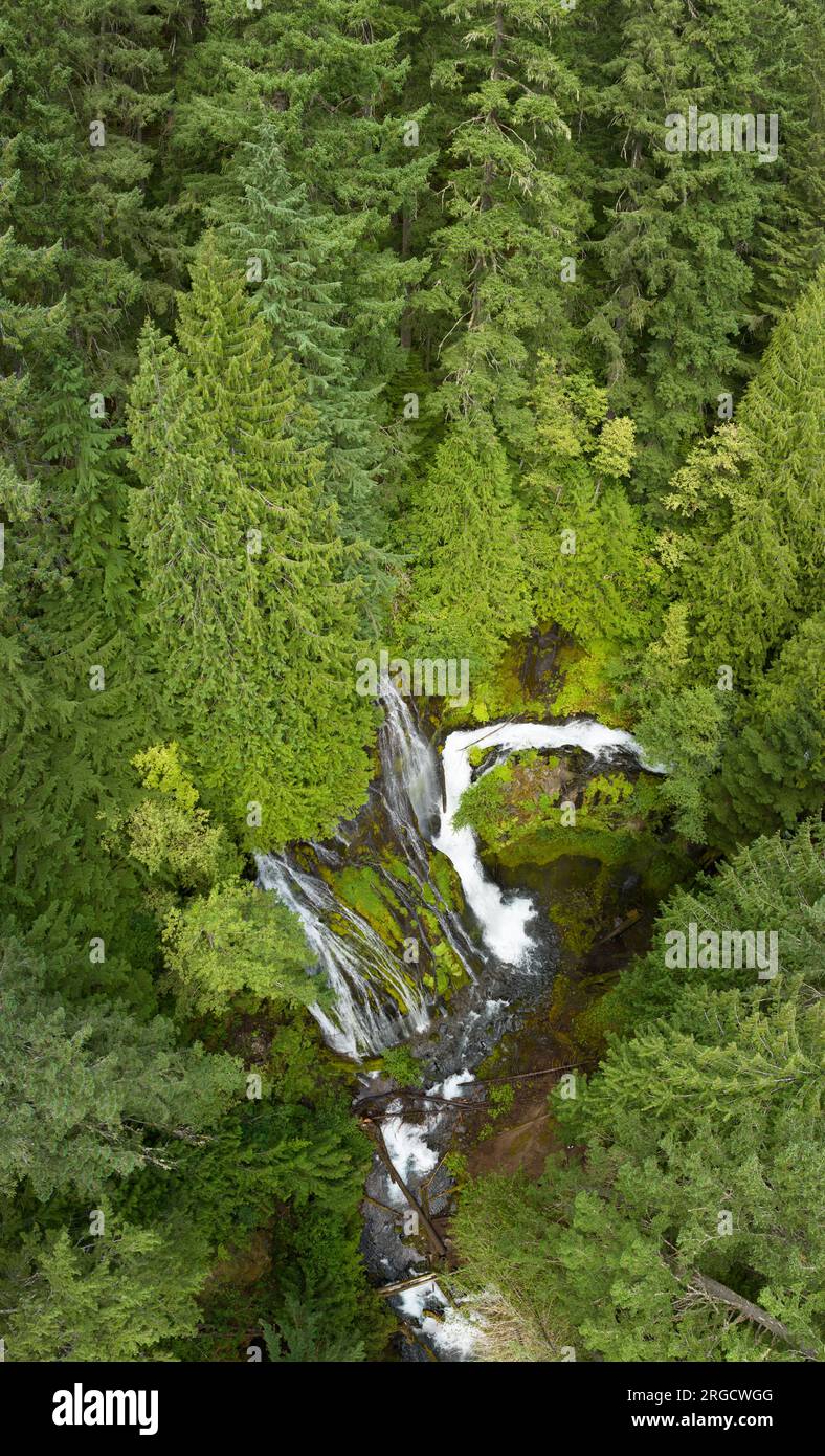 Viste da una prospettiva a volo d'uccello, le imponenti cascate di Panther Creek scorrono attraverso la Gifford Pinchot National Forest a Washington. Foto Stock