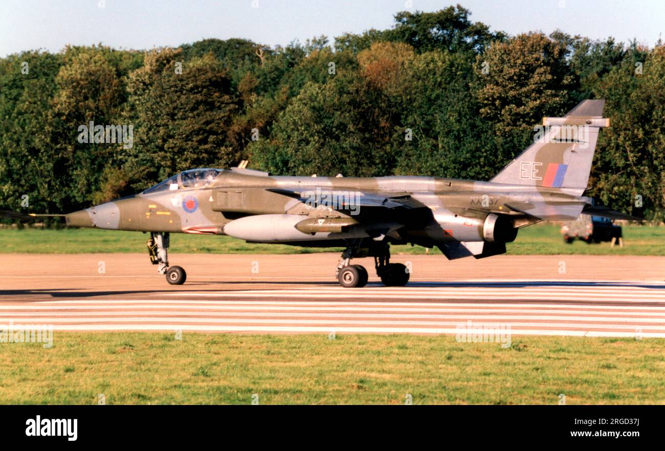 Royal Air Force - SEPECAT Jaguar GR.3 XX737 / EE (msn S.34/PSN 2034) Foto Stock