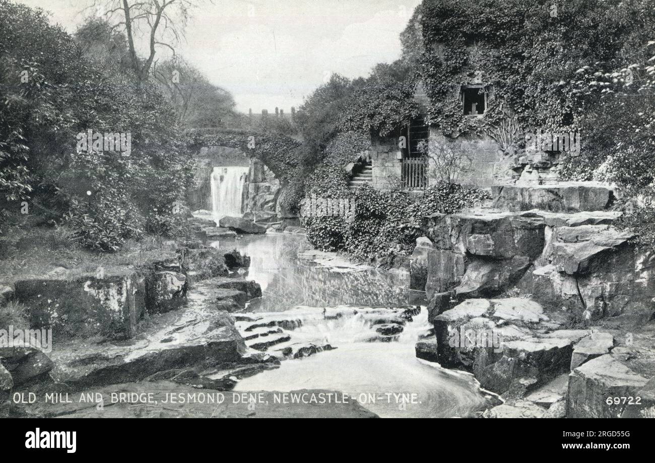 Old Mill and Bridge, Jesmond Dene, Newcastle-on-Tyne Foto Stock