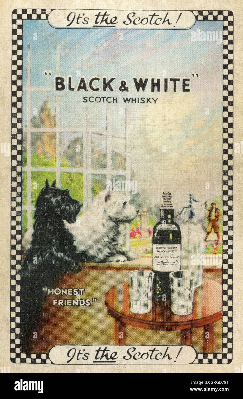 Pubblicità, Black & White Scotch Whisky, con cani - amici onesti Foto Stock