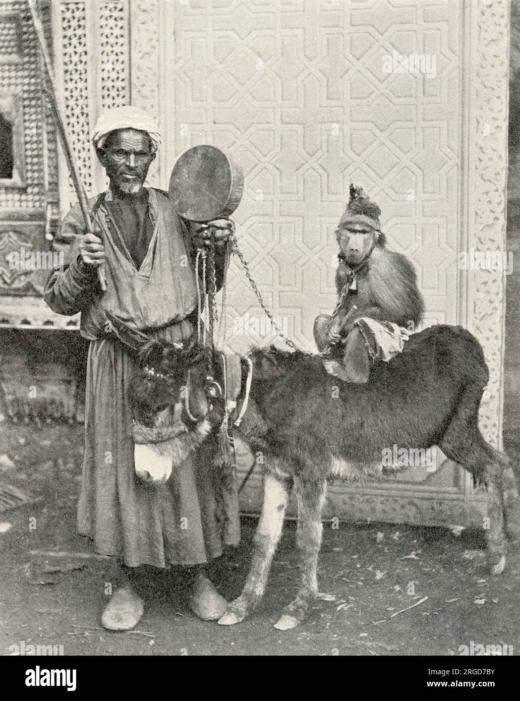 Musicista itinerante con scimmia e asino, Cairo, Egitto Foto Stock