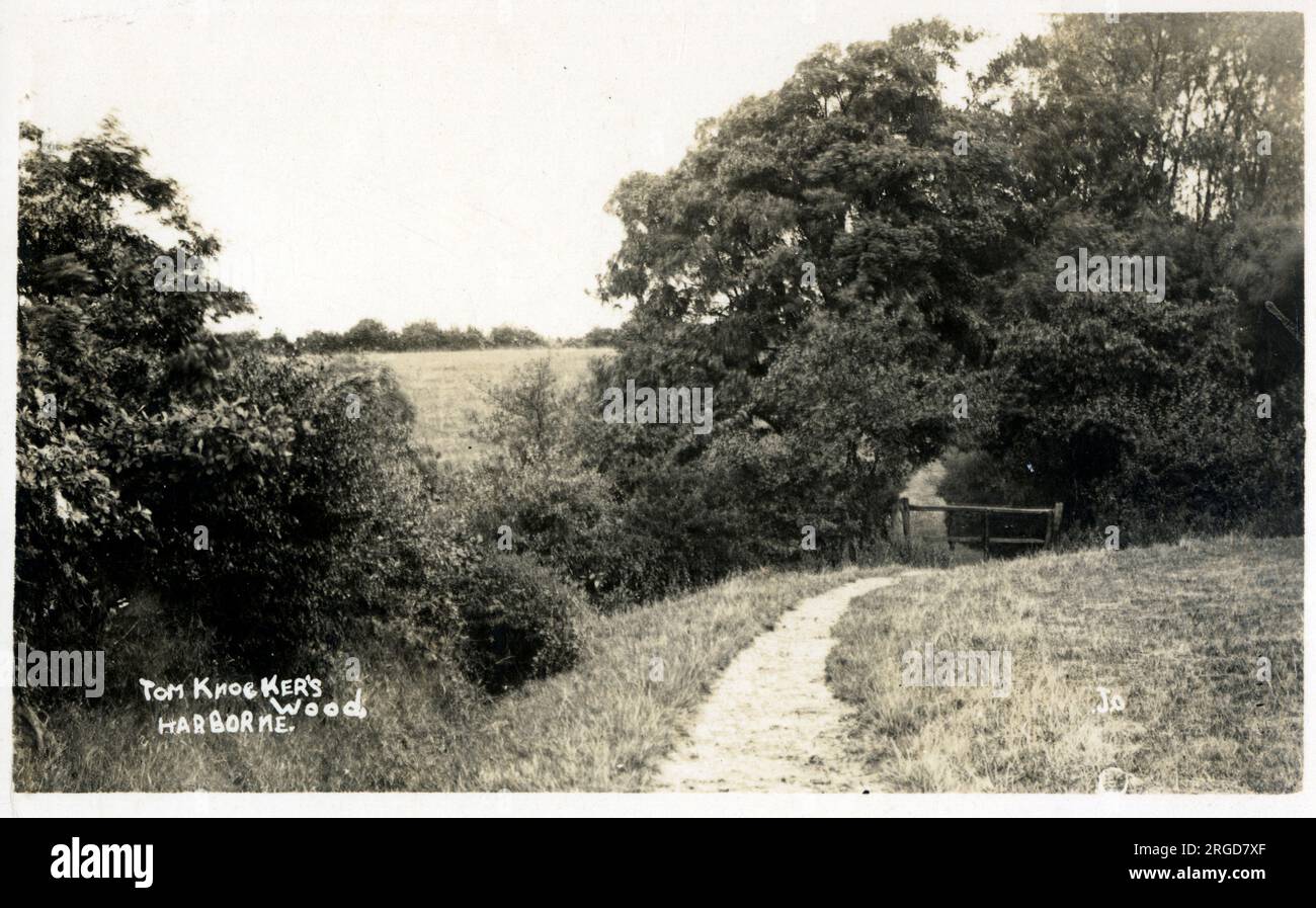 Tom Knocker's Wood - Harborne, a sud-ovest di Birmingham Foto Stock