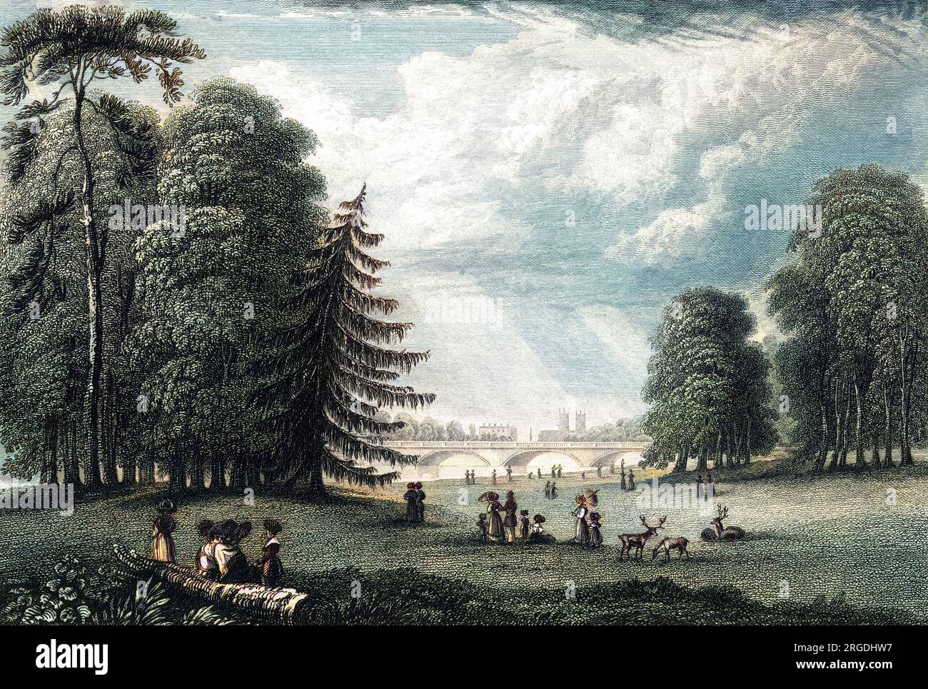 Vista a Kensington Gardens: L'Abbazia di Westminster può essere vista in lontananza, cosa che certamente non sarebbe possibile oggi! Foto Stock