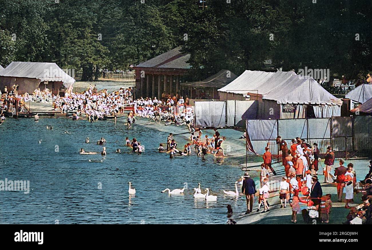 Bagna e cigni godendosi il sole al Serpentine Lido di Hyde Park a Londra nel 1938. Il Lido fu istituito da George Lansbury, il primo Commissario dei lavori nel 1930. Foto Stock