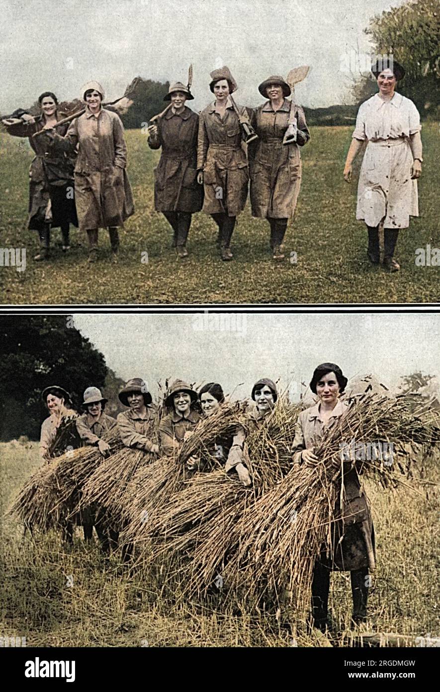 Donne che portavano il raccolto nella fattoria di Lord Rayleigh a Terling nel 1916. Foto Stock