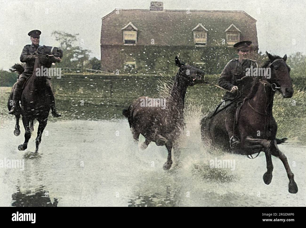Ussari che si rompono a colts per essere usati dall'esercito in un villaggio del Surrey durante la prima guerra mondiale. Foto Stock