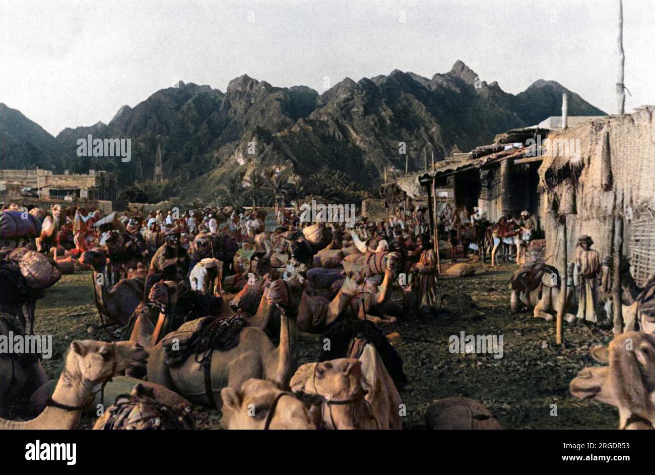 La piazza del mercato nella vecchia città carovana di Mattrah, Oman, Medio Oriente. Durante il raccolto di data le montagne risuonano con la benedizione di migliaia di cammelli. Foto Stock