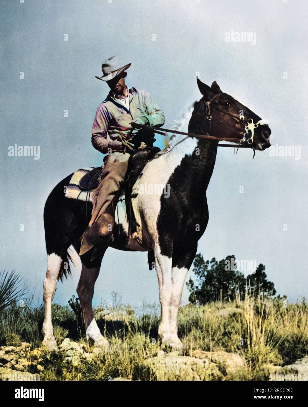 Tom Redford di Fort Davis, responsabile del progetto di cattura delle antilopi, visto qui a cavallo su una collina che si affaccia sul drive, U.S.A. Foto Stock
