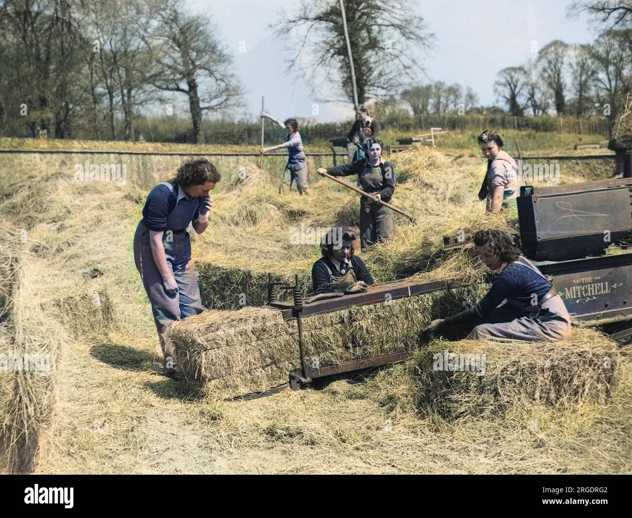 Ragazze di terra di un'unità mobile del Land Army inviata dal Surrey War Agriculture Executive Committee che imballano fieno in una fattoria vicino ad Abinger Hammer, tra Dorking e Shere durante la seconda guerra mondiale Foto Stock