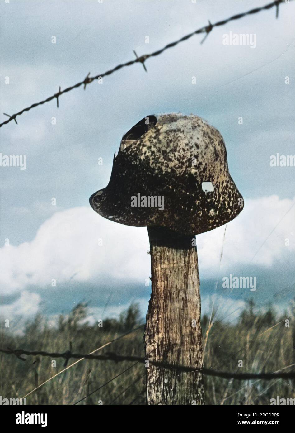 Uno dei tanti caschi in acciaio della prima guerra mondiale che gli agricoltori trovano ancora quando arano i loro campi. Foto Stock