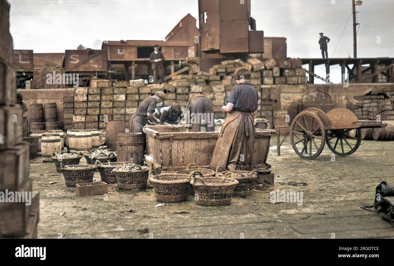 Persone che lavorano in una pesca, la trasformazione del pesce prima della vendita. Foto Stock