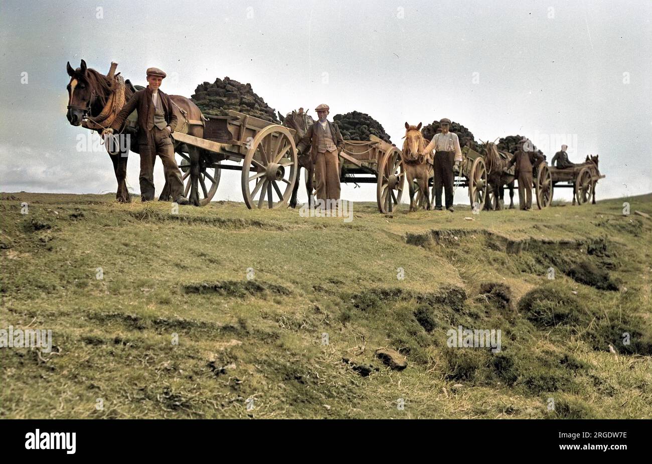 Carri trainati da cavalli che trasportano torba (erba sintetica) sull'isola di Benbecula, Ebridi esterne, Scozia settentrionale. Foto Stock