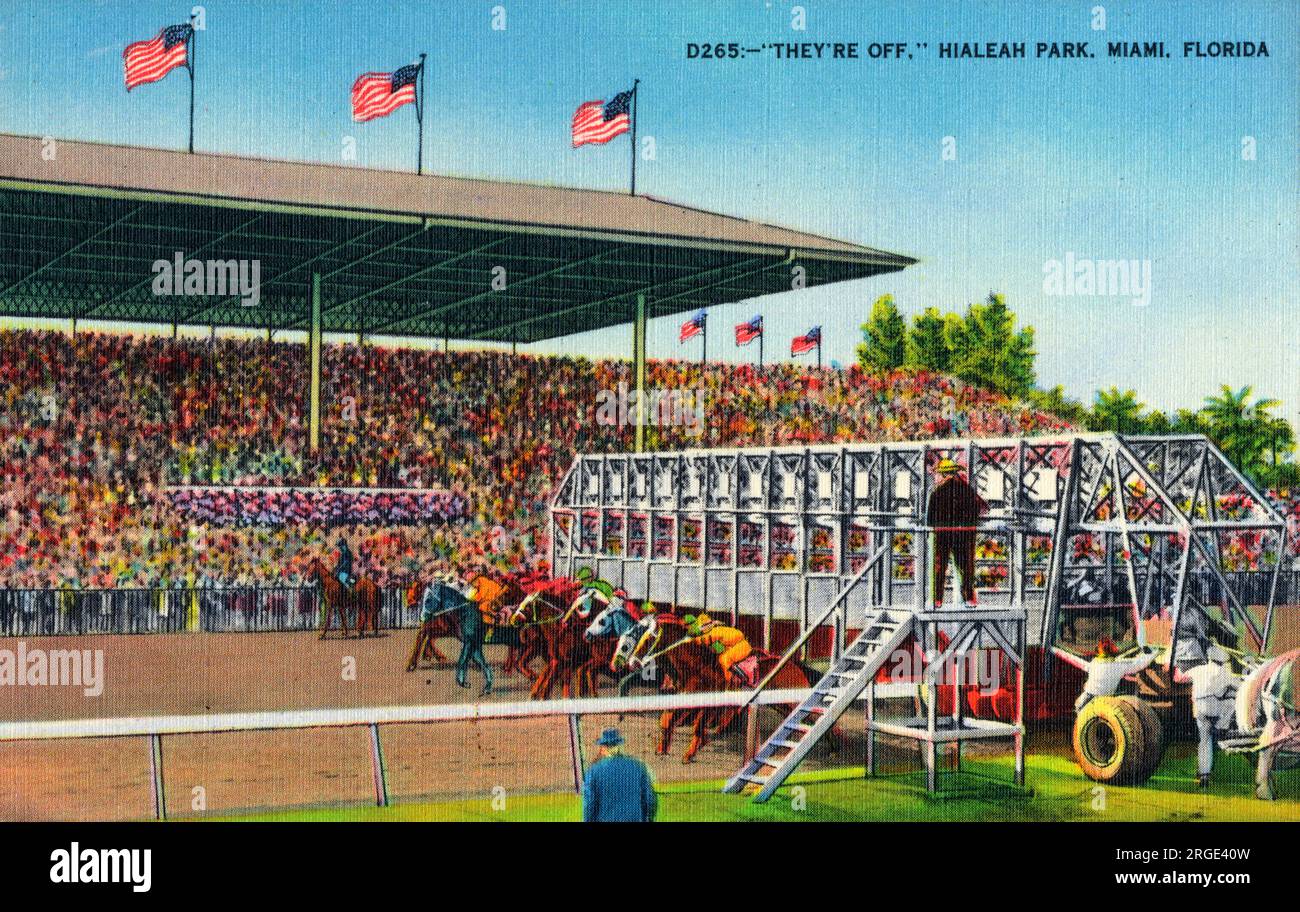 L'inizio di una corsa di cavalli all'Hialeah Park, Miami, Florida, USA. Foto Stock