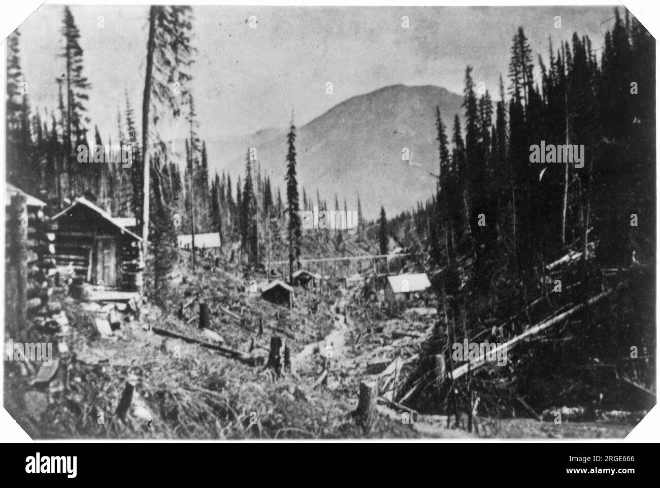 Cabine in Alaska durante la corsa all'oro. Foto Stock