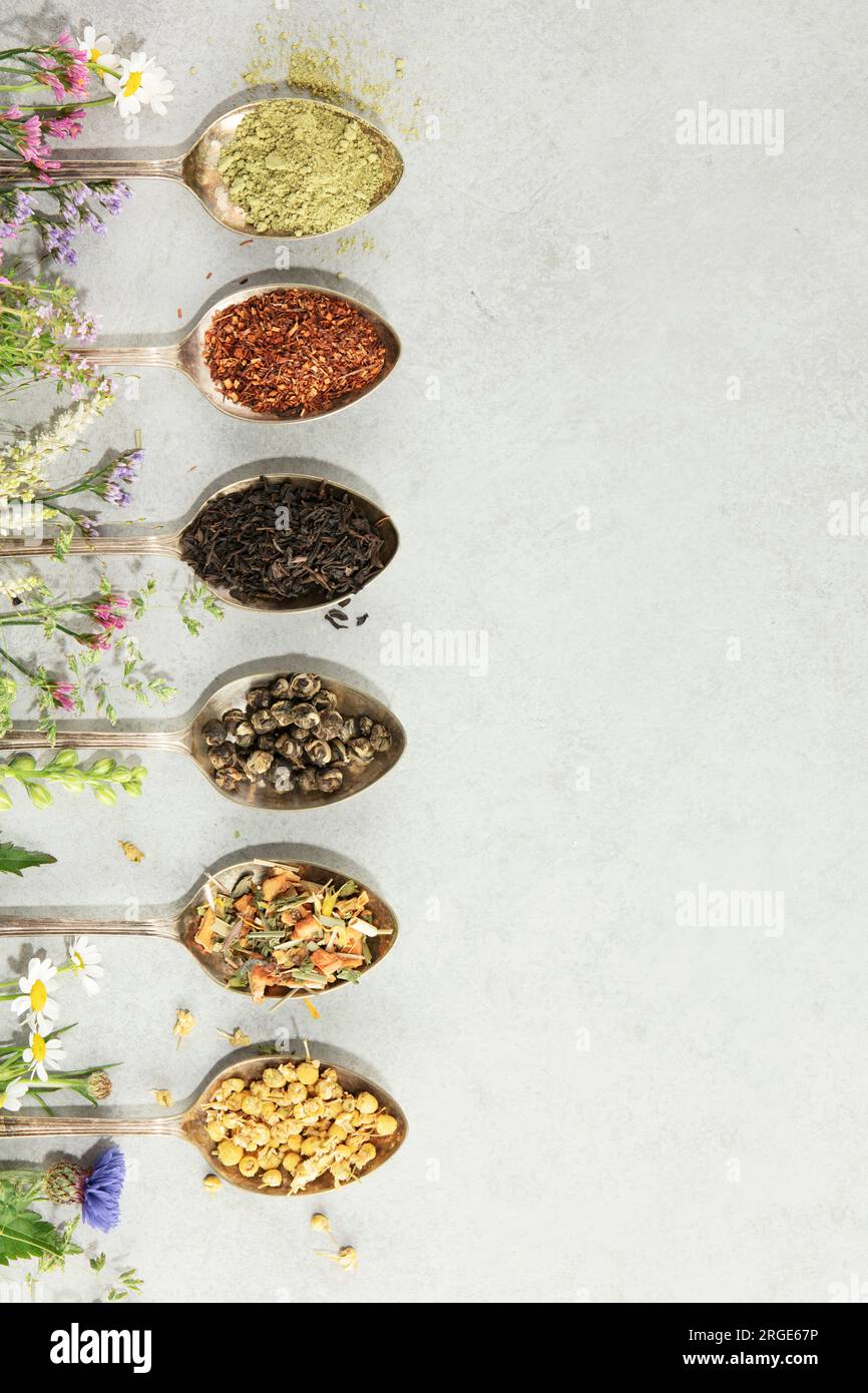 Diversi tipi di tè in cucchiai vintage. E Healing Herbs Flat Lay, vista dall'alto su sfondo cemento. Matcha, rooibos, nero, verde, mix di erbe e. Foto Stock