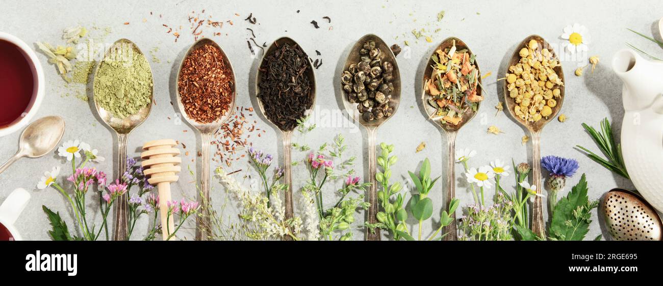 Diversi tipi di tè in cucchiai vintage. E Healing Herbs Flat Lay, vista dall'alto su sfondo cemento. Matcha, rooibos, nero, verde, mix di erbe e. Foto Stock