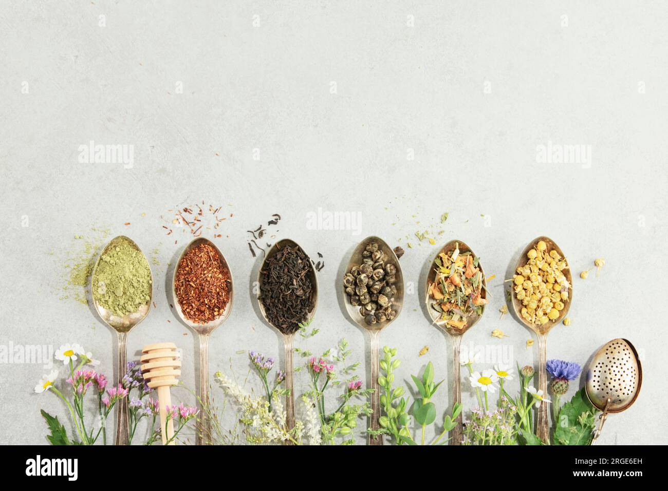 Diversi tipi di tè in cucchiai vintage. E Healing Herbs Flat Lay, vista dall'alto su sfondo cemento. Matcha, rooibos, nero, verde, mix di erbe e. Foto Stock