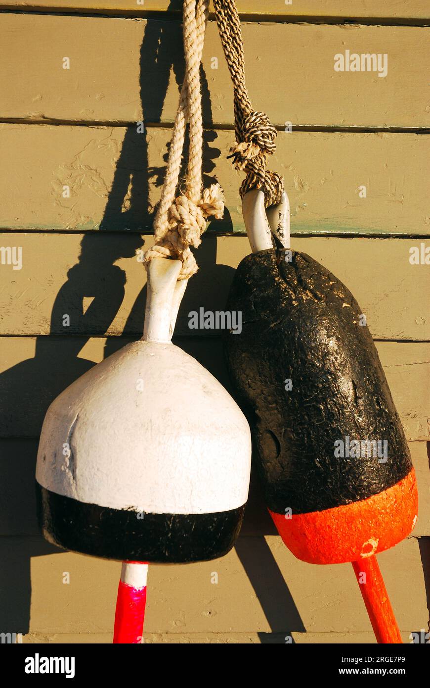 Le boe di aragosta sono appese a un muro di un ristorante di pesce, che serve come decor sulla costa del New England Foto Stock