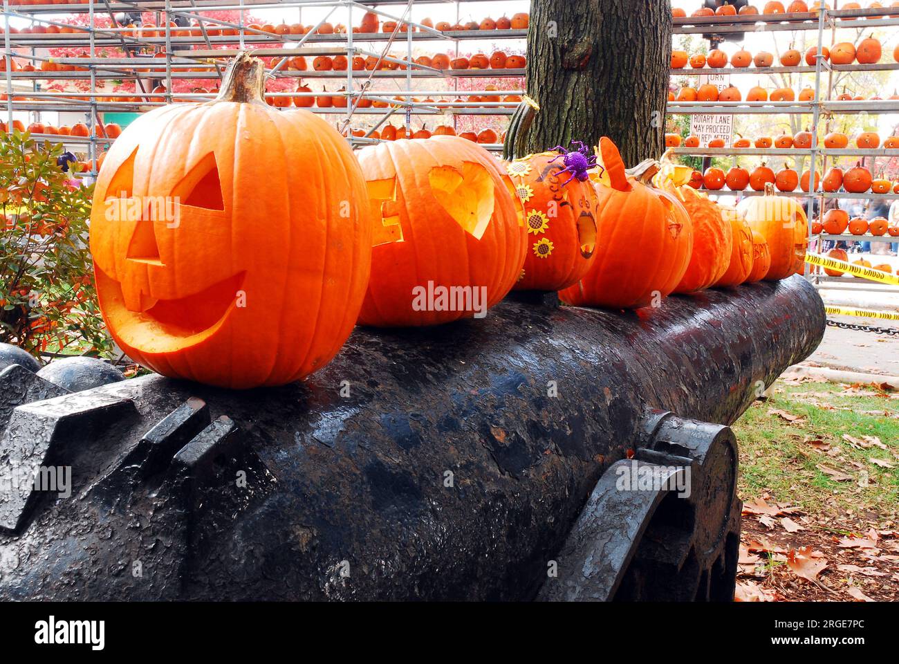 Le zucche fiancheggiano la cima di un cannone della Guerra d'indipendenza nel verde della città di Keene, New Hampshire, durante un autunno Foto Stock