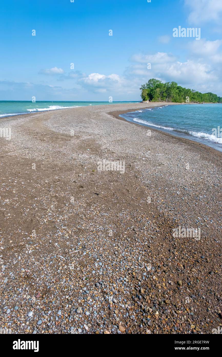 Il Tip at Point Pelee National Park è il punto più meridionale del Canada continentale. È un popolare punto di sosta per molti uccelli migratori. Foto Stock