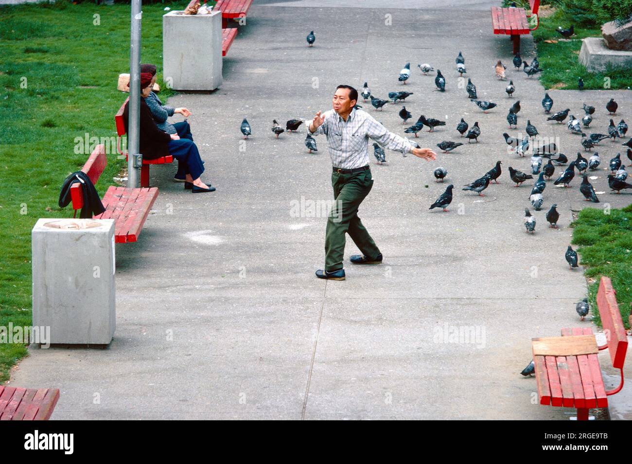 Uomo che pratica Tai chi a Portsmouth Square, Chinatown, San Francisco, California, USA Foto Stock