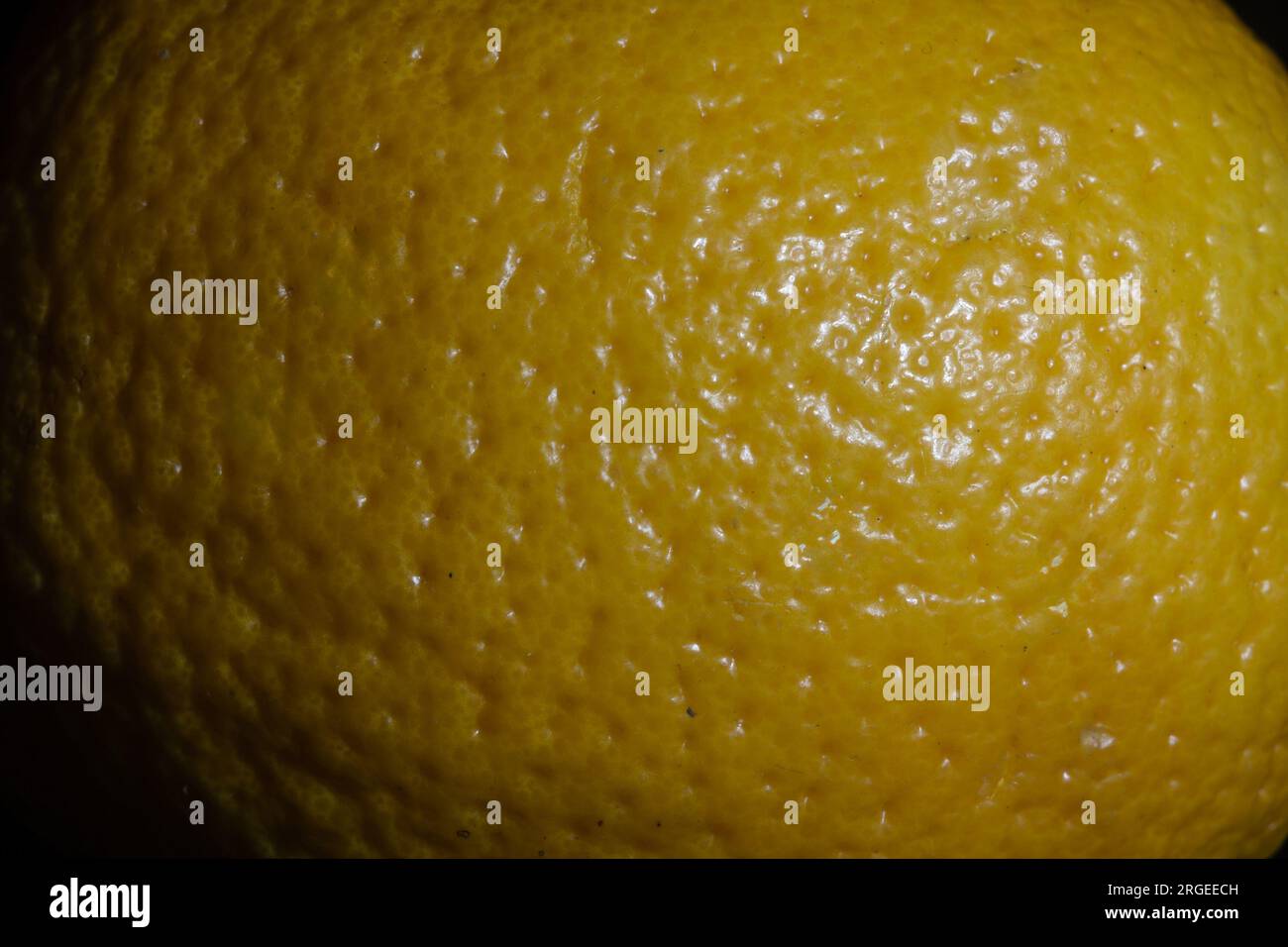 Immagine della pelle arancione, su un'immagine macro. L'arancia è un frutto di varie specie di agrumi della famiglia Rutaceae (vedi elenco delle piante note come arancia Foto Stock