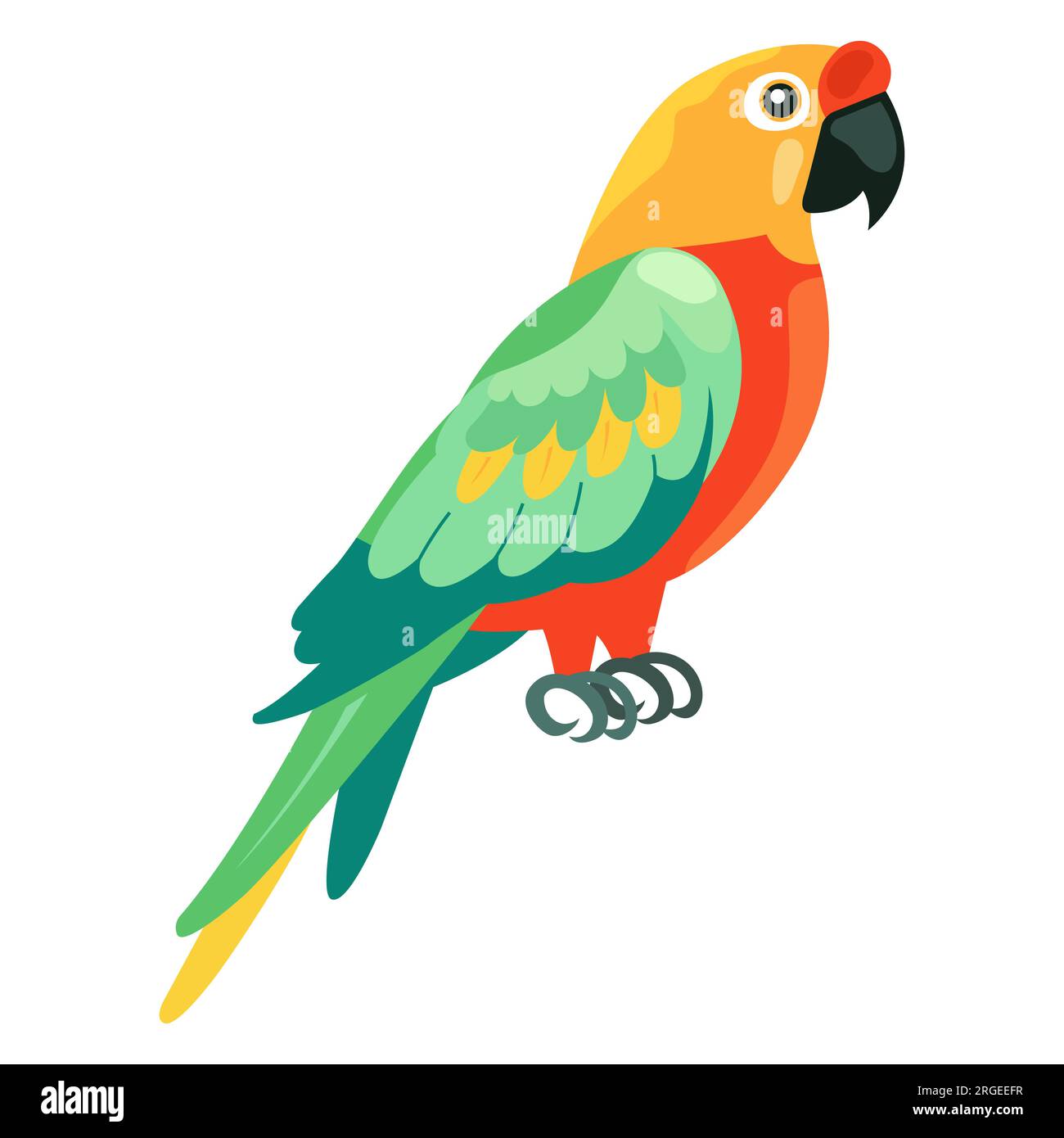 Color rosso pappagallo Macaw. illustrazione del vettore piatto Illustrazione Vettoriale