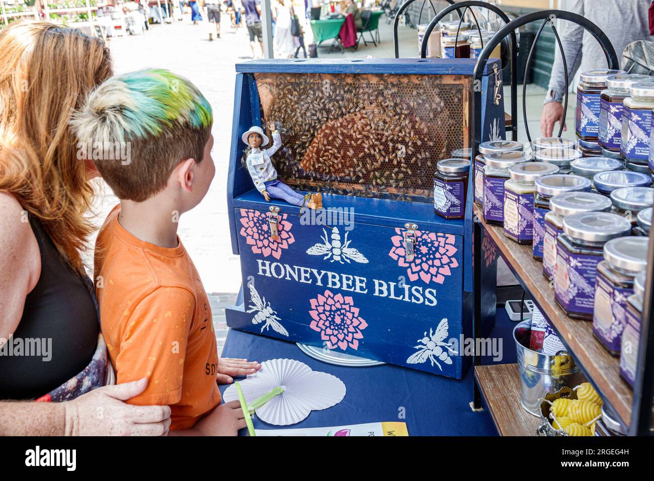 Hendersonville, North Carolina, Hendersonville Farmers Market, Maple Street, api mellifere vive che guardano alveari, bambini bambini infanzia, bambina femmina, bo Foto Stock