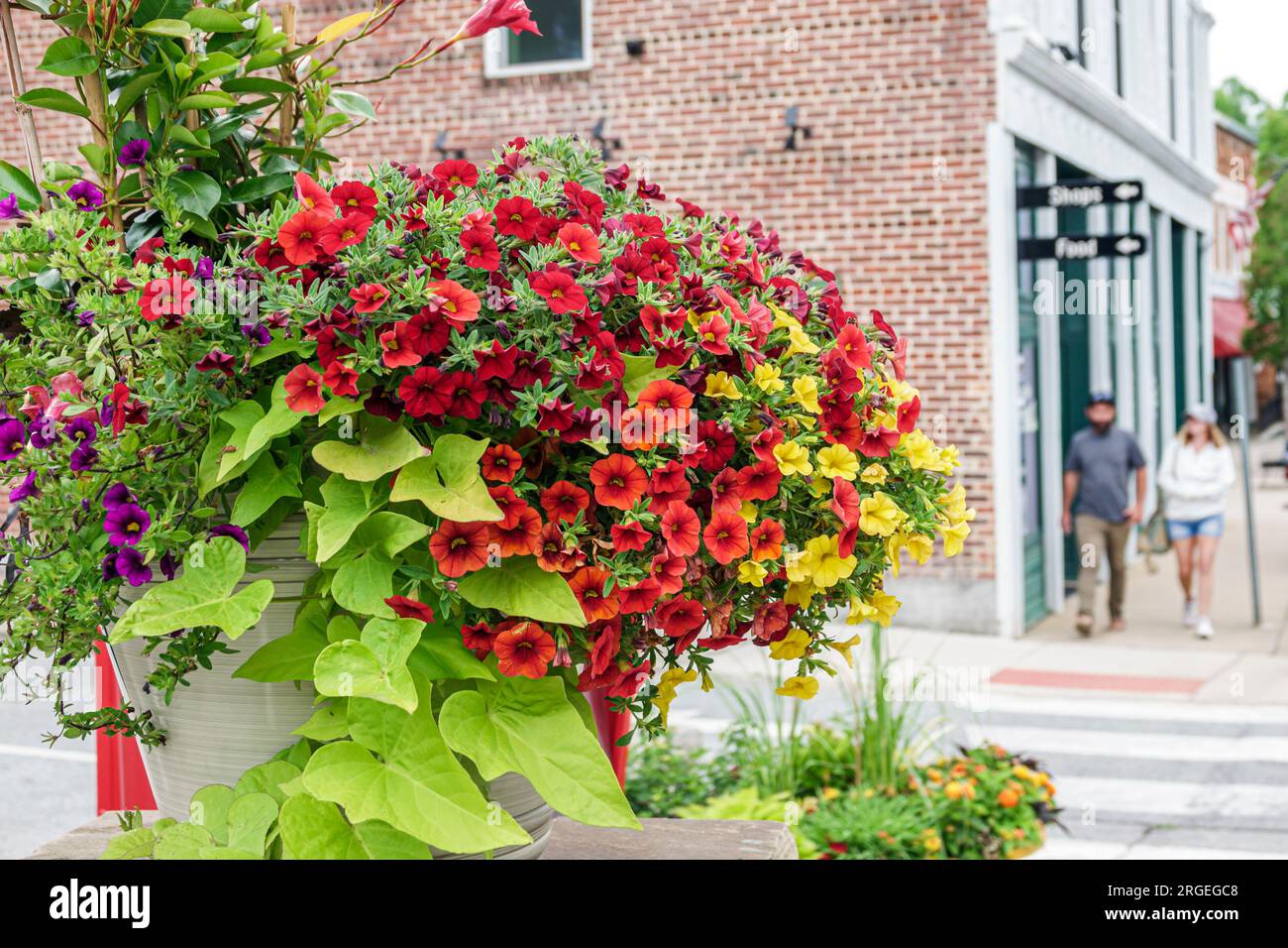 Saluda North Carolina, decorazione floreale, uomo uomo uomo uomo, donna donna donna donna donna donna, adulti residenti coppia, negozio negozio commerciale marchio commerciale Foto Stock