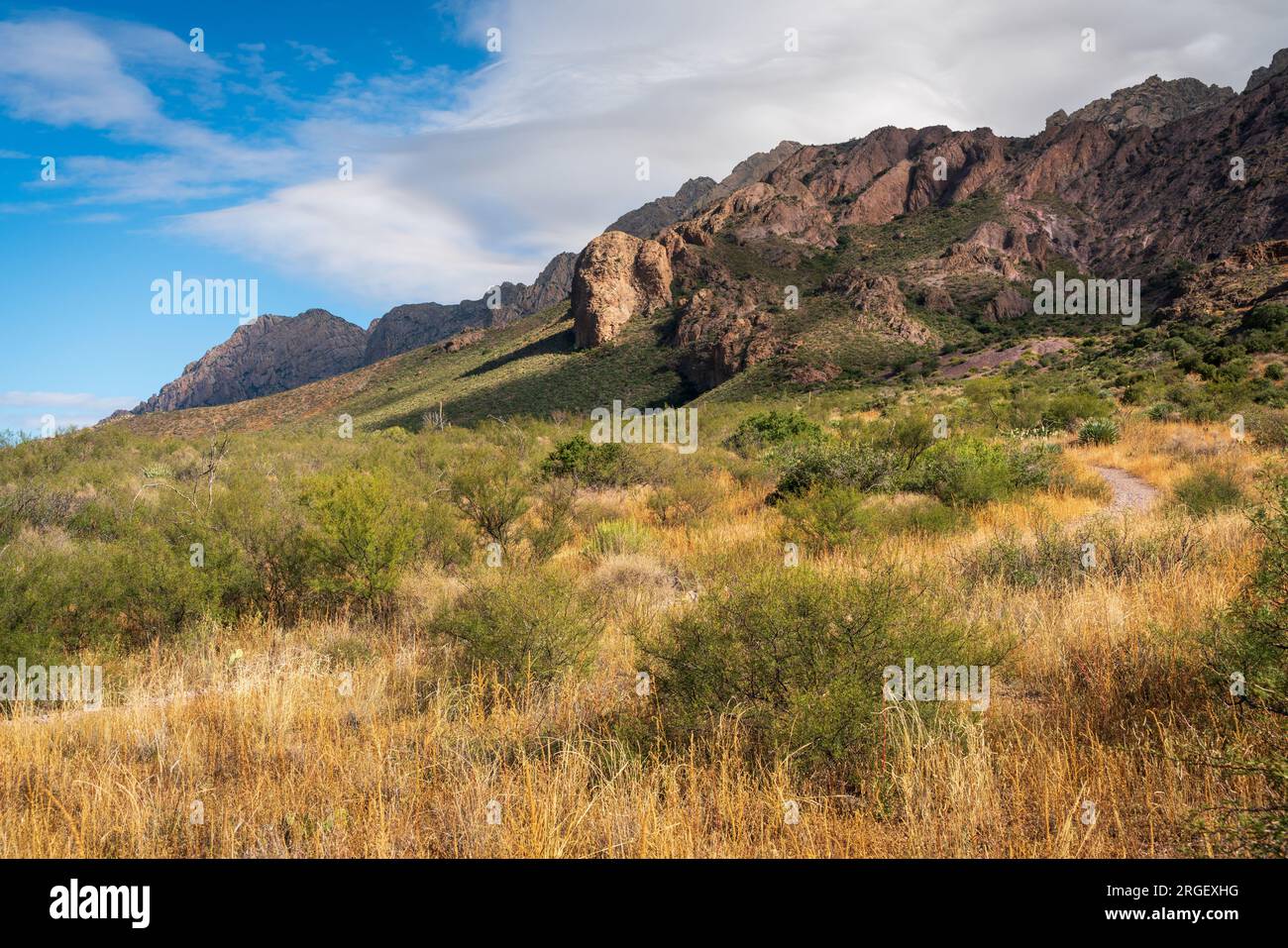 Organ Mountains-Desert Peaks National Monument nel New Mexico Foto Stock