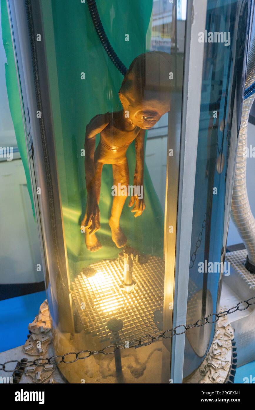 Una figura aliena marrone si trova in un tubo di vetro illuminato con un pannello verde dietro di essa a Roswell, nel New Mexico. Foto Stock