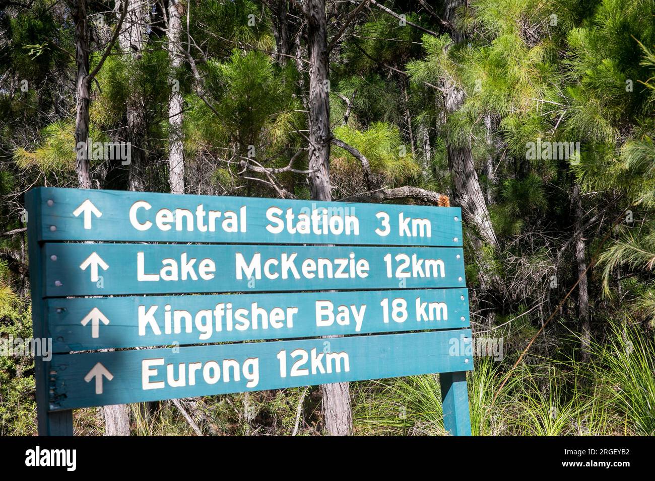 Cartello stradale in legno di Fraser Island con indicazioni per Lake McKenzie, stazione centrale, Eurong e Kingfisher Bay, Queensland, Australia Foto Stock