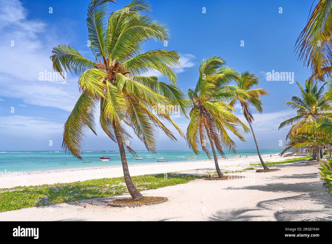Spiaggia vicino a Pingwe, Zanzibar, Tanzania, Africa orientale Foto Stock