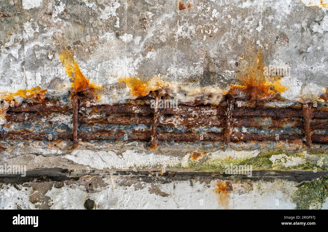 Barre di rinforzo intemprate in un ambiente di cemento Foto Stock