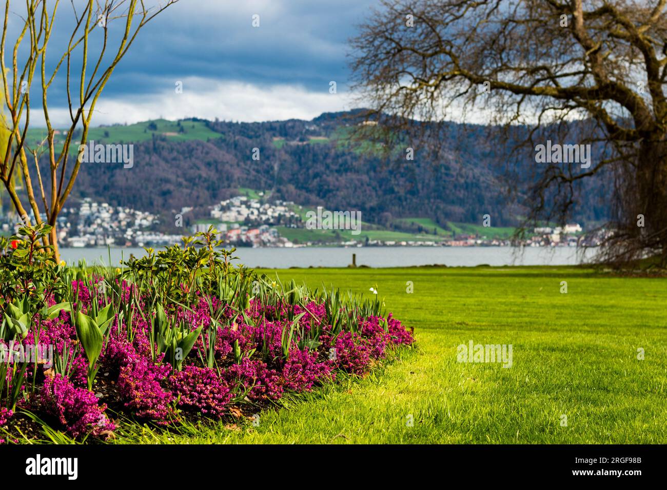 Svizzera giardino di fiori e lago Foto Stock