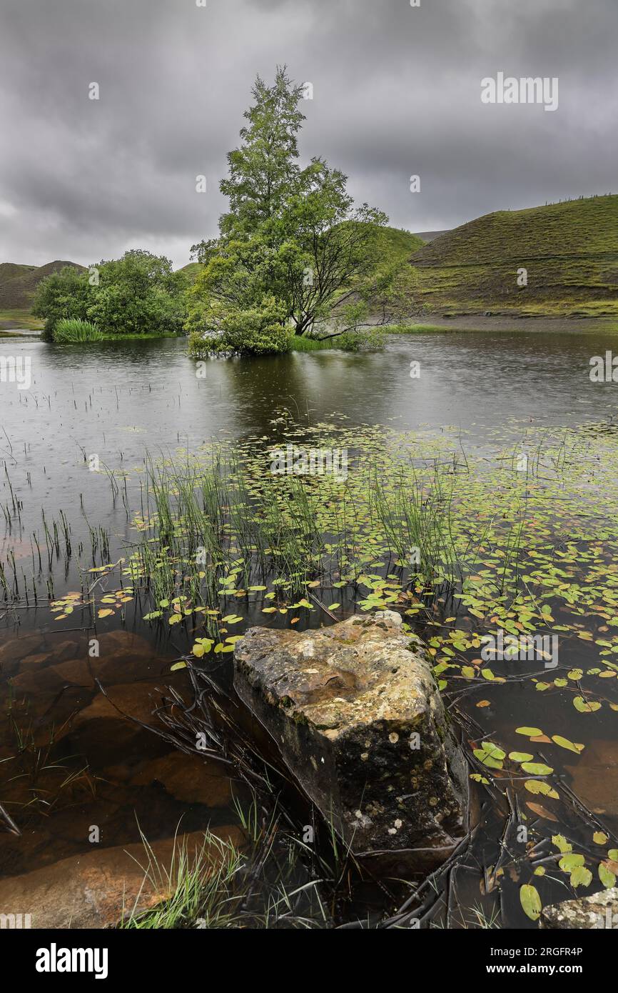 Stagno in una cava abbandonata che viene lentamente recuperata dalla natura in caso di pioggia intensa, Bollihope, Weardale, County Durham, Regno Unito Foto Stock