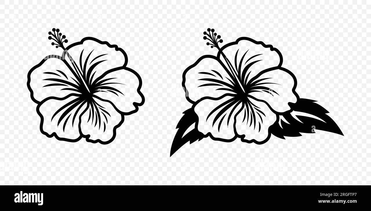Vettore monocromatico contorno inchiostro Hibiscus. Set di rose cinesi. Elementi di design floreali. Hibiscus Flower Linear icona bianca e nera, tatuaggio. Ibisco Illustrazione Vettoriale