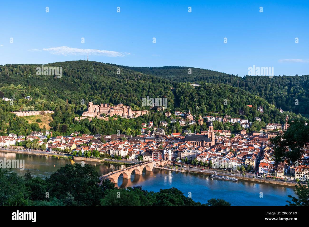 Vista della città tedesca di Heidelberg con il castello e la città vecchia in una soleggiata sera d'estate Foto Stock