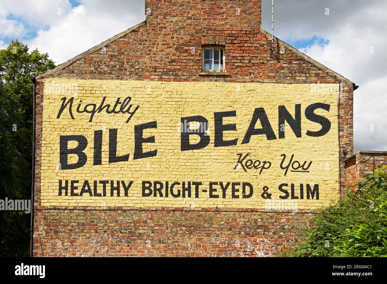 Old ile Beans murale pubblicitario all'estremità della casa a schiera, York, North Yorkshire, Inghilterra, Regno Unito Foto Stock