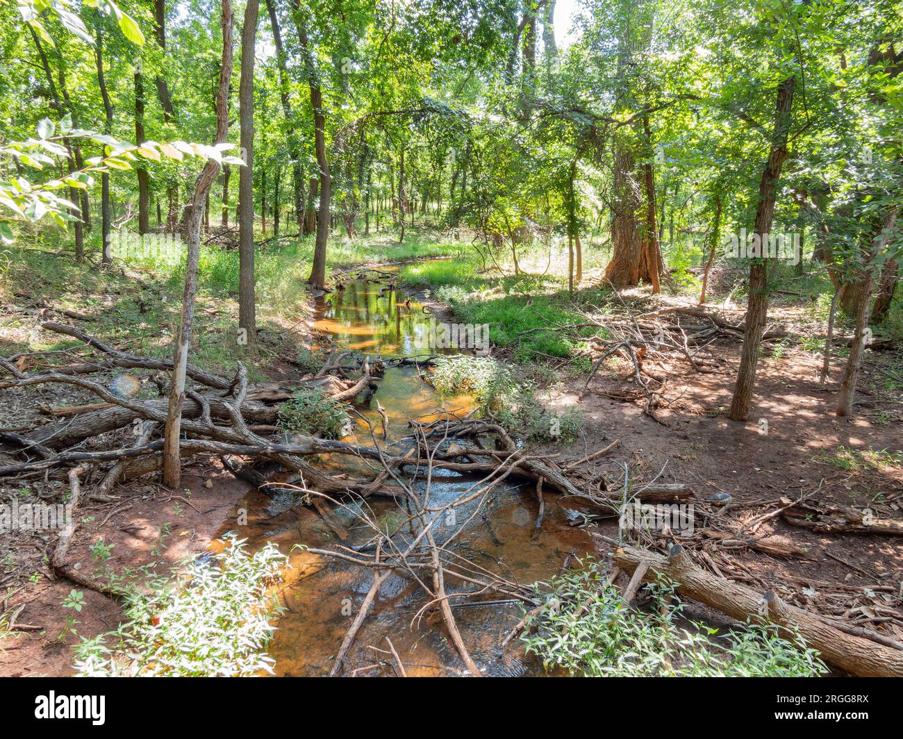 Vista soleggiata del paesaggio del Martin Nature Park in Oklahoma Foto Stock