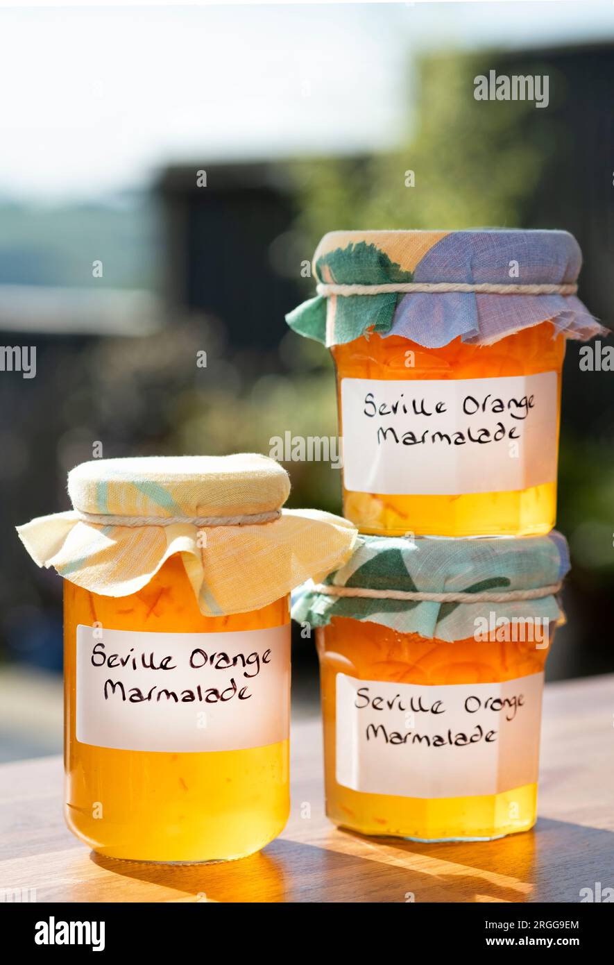 Un gruppo di barattoli contenenti marmellata d'arancia di Siviglia fatta in casa. Le vaschette hanno etichette scritte a mano e rivestimenti in tessuto sopra i coperchi Foto Stock