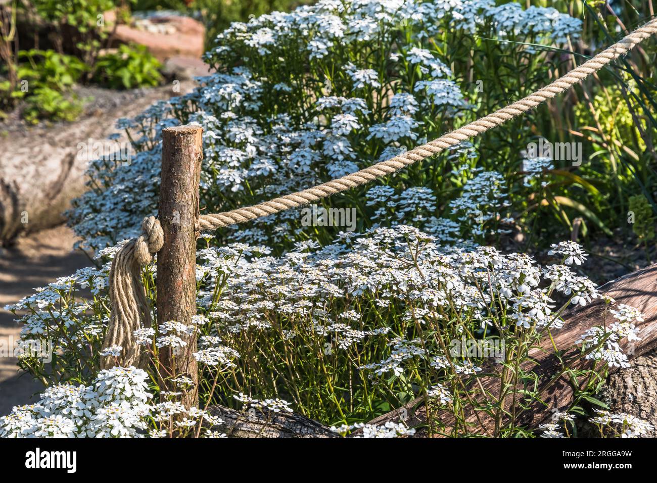 Recinzione da giardino fatta di pali e corde di legno Foto Stock