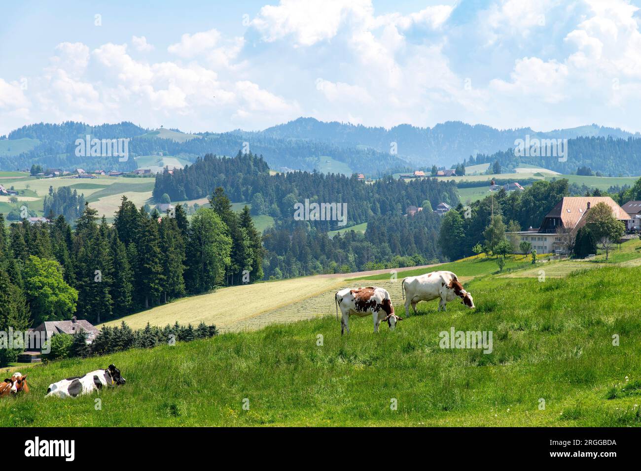 Vista panoramica sul paesaggio della riserva naturale della Biosfera di Entlebuch ai piedi delle Alpi tra Berna e Lucerna nel Cantone Svizzero di Lucerna, ora seco Foto Stock