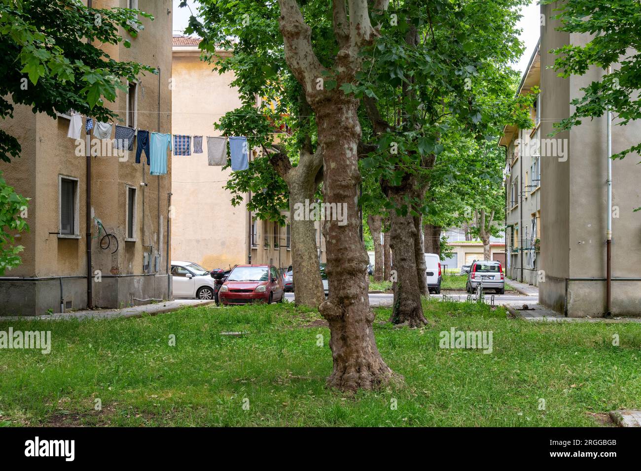 Vista sulle aree erbose aperte con alberi tra gli appartamenti incolore di case popolari in zona urbana in Italia con le auto parcheggiate e lavate appese Foto Stock
